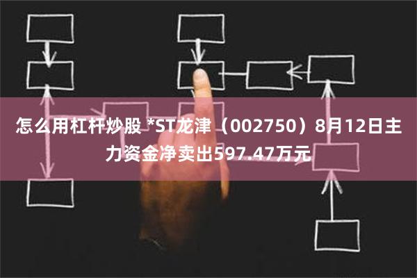 怎么用杠杆炒股 *ST龙津（002750）8月12日主力资金净卖出597.47万元