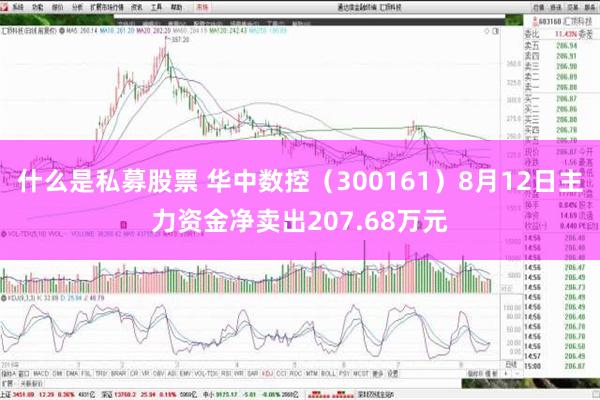 什么是私募股票 华中数控（300161）8月12日主力资金净卖出207.68万元