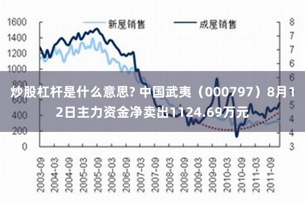 炒股杠杆是什么意思? 中国武夷（000797）8月12日主力资金净卖出1124.69万元