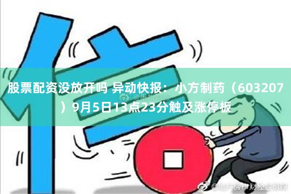 股票配资没放开吗 异动快报：小方制药（603207）9月5日13点23分触及涨停板