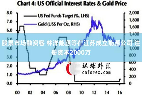 股票市场融资客 林洋能源等在江苏成立能源公司 注册资本2000万