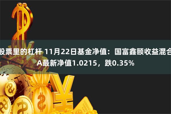 股票里的杠杆 11月22日基金净值：国富鑫颐收益混合A最新净值1.0215，跌0.35%