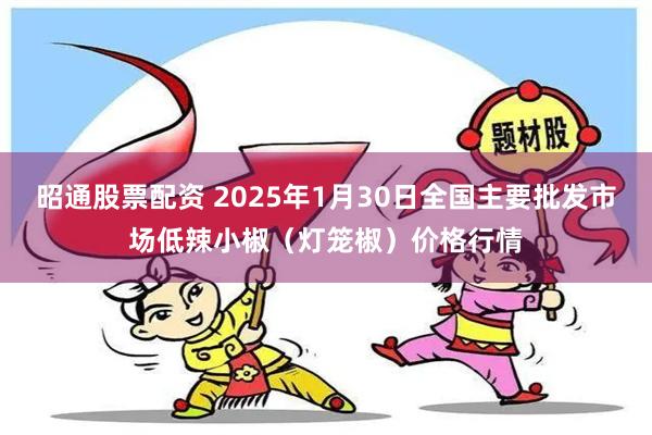 昭通股票配资 2025年1月30日全国主要批发市场低辣小椒（灯笼椒）价格行情